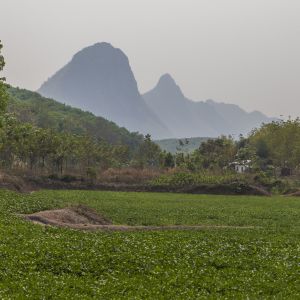 01_loei_MG_4606.jpg