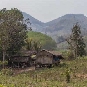 18_loei_MG_5043.jpg