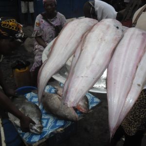 Women-from-Youpwe-selling-fish.jpg