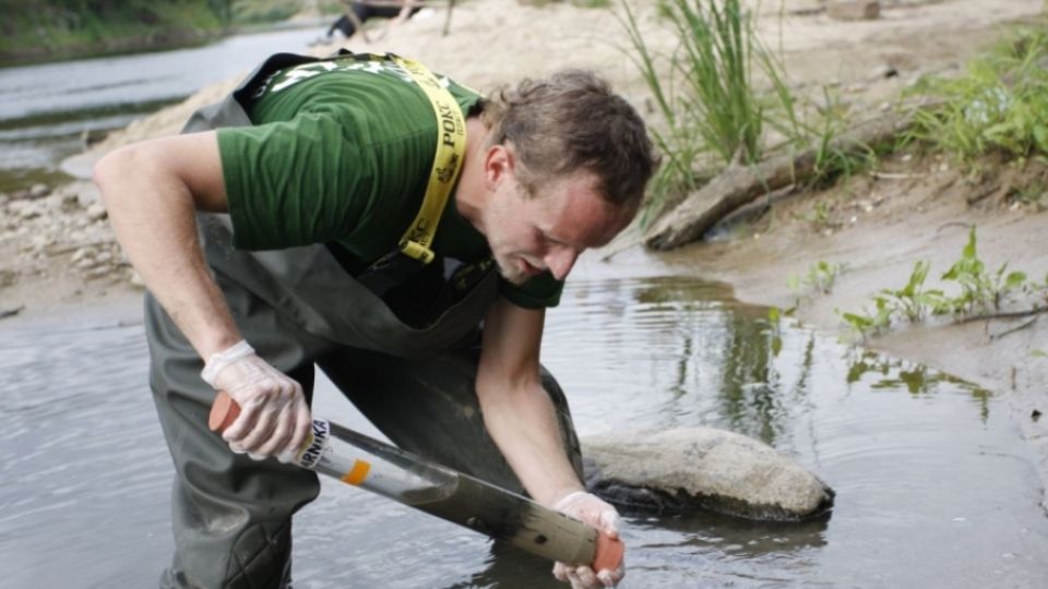 Sampling In Belarus, 2012