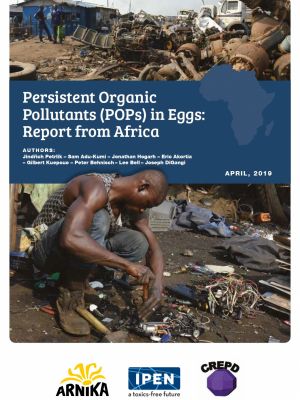 Persistent Organic Pollutants (POPs) in Eggs: Report from Africa