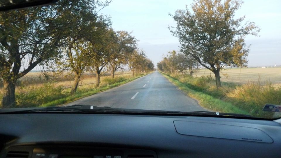 Americký výzkum ukázal, že aleje zvyšují bezpečnost provozu na silnicích