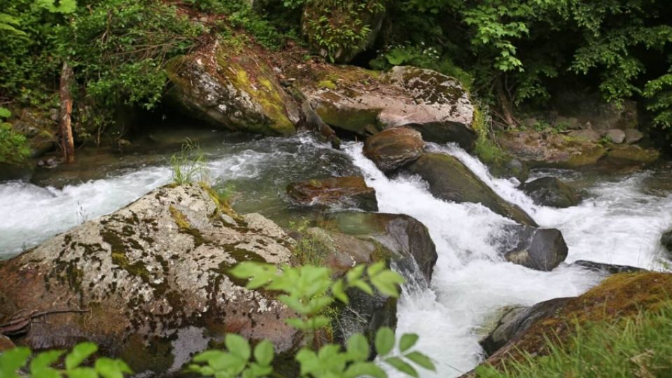 Fight for water: valuable Bosnian rivers are disappearing in concrete