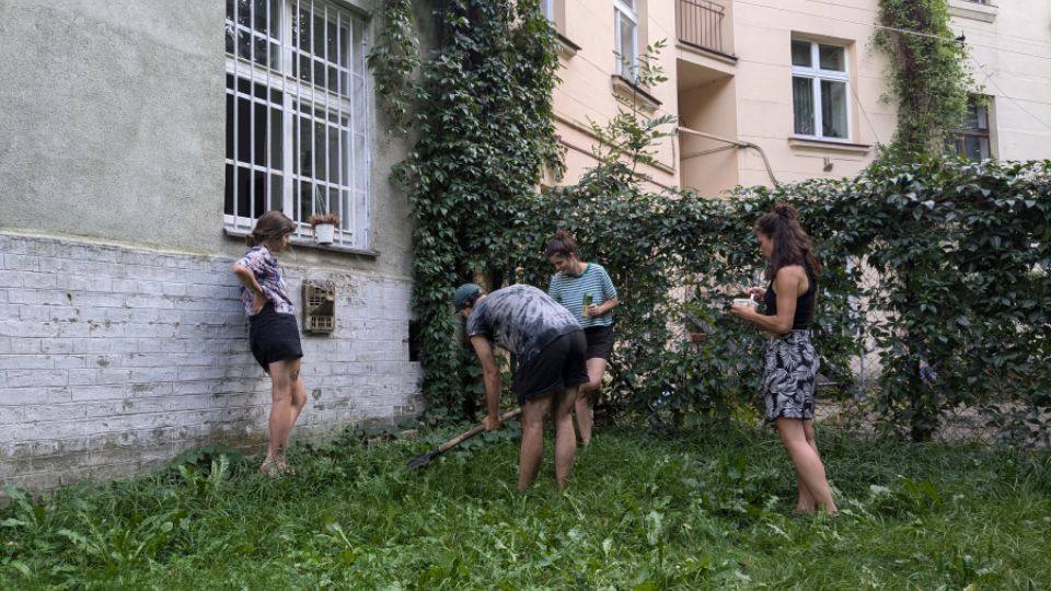 Výsev původní směsi rostlin - komunitní vnitroblok Čiklova