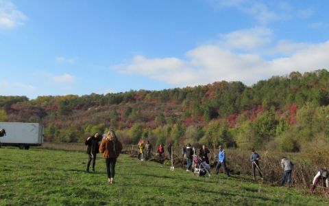 Volunteers enjoying the tree planting event