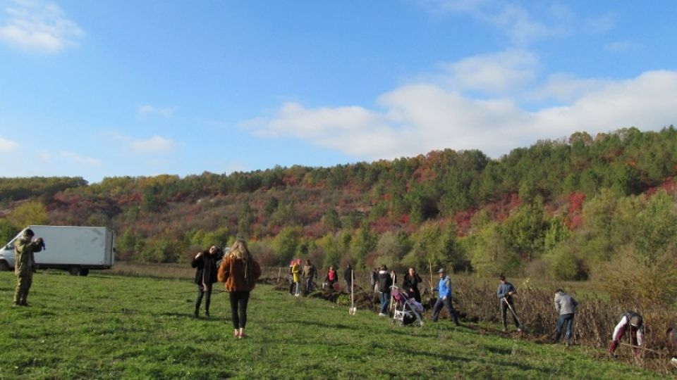 Volunteers enjoying the tree planting event