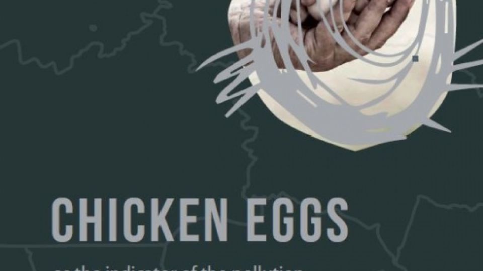 Chicken eggs as an indicator of the pollution of the environment in Kazakhstan