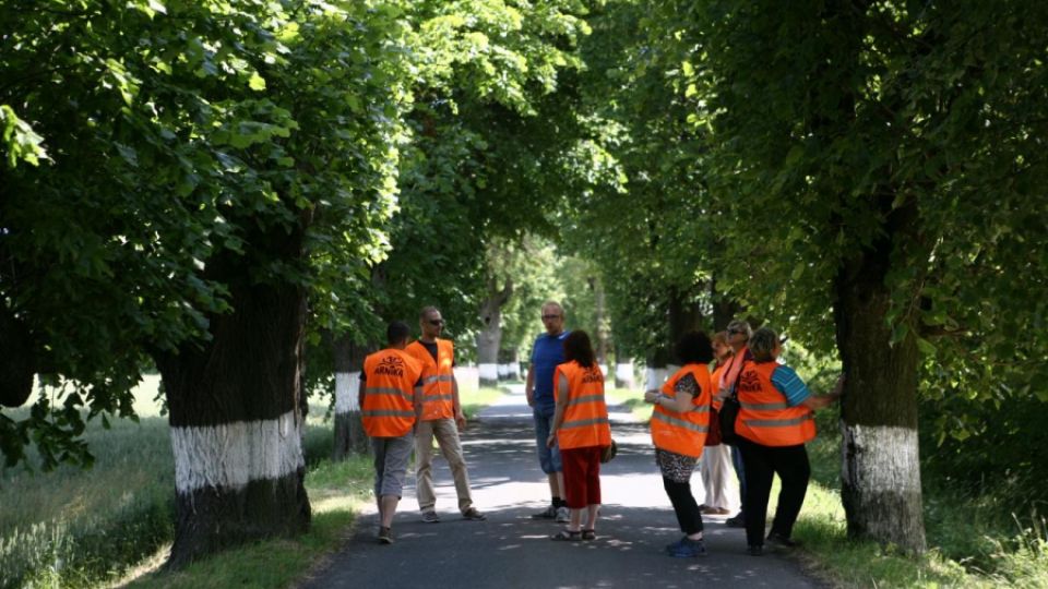 Výprava do alejí Moravskoslezského kraje