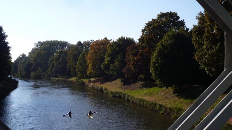 Hrozící kácení v Hradci Králové na břehu Orlice