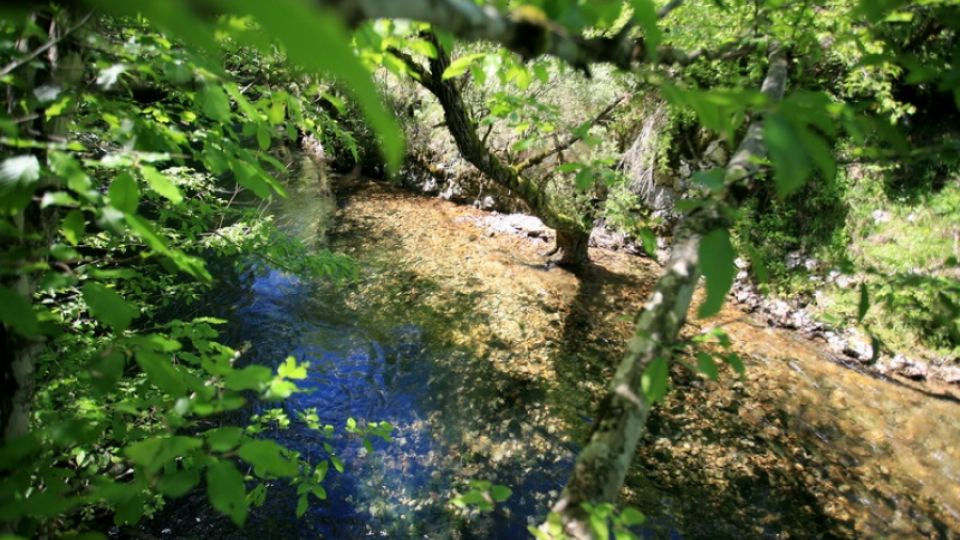 Stopping hydropower plant Prizren Grad on river Sana