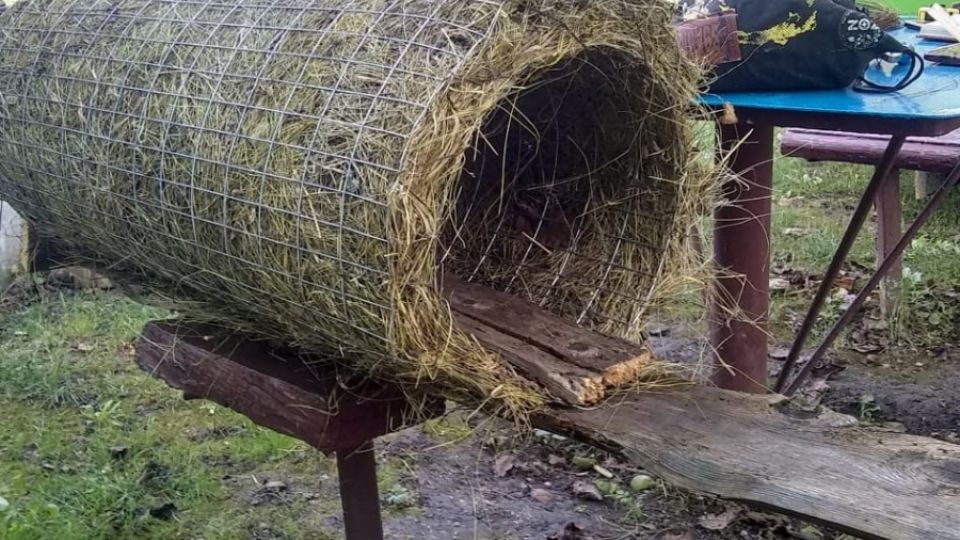 Arnika supports pupils and students in caring for waterbirds and fish in the Dniester basin