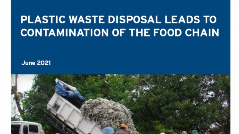 Plastic waste disposal leads to contamination of the food chain