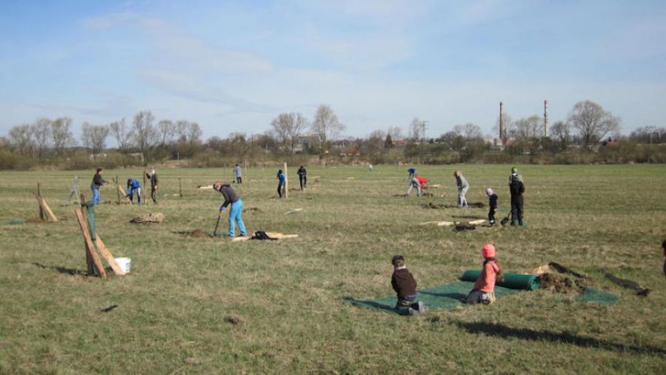 Nové aleje v Poodří. Ochránci na jaře vysadili 350 stromů