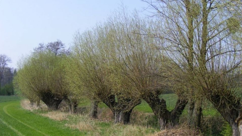 Lidé se chtějí v Poodří více podílet na ochraně přírody