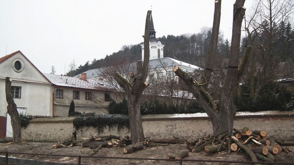 Kácení v Lysicích provází řada vážných podezření