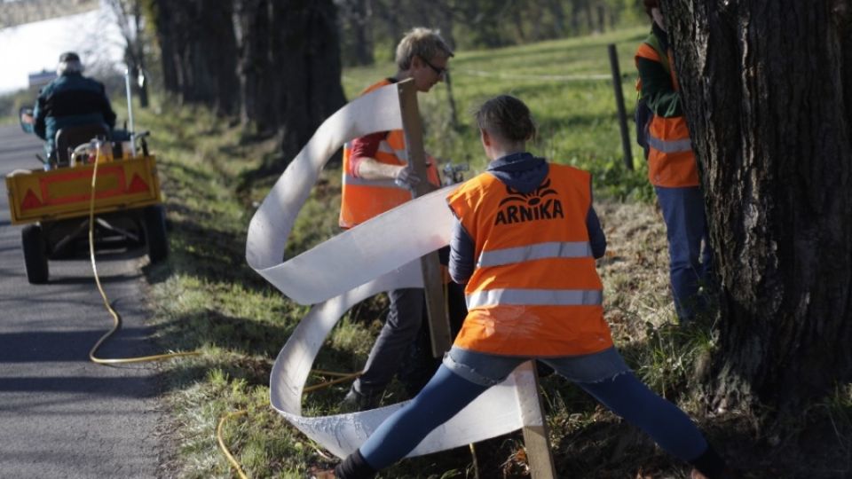 Ochrana alejí pro rozvoj regionů: Natírání bezpečnostních pruhů v Dolních Tošanovicích