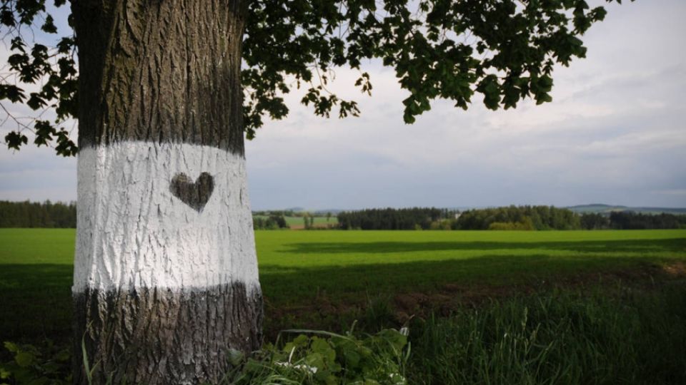 Natírat a chránit - Žižkovo Pole 