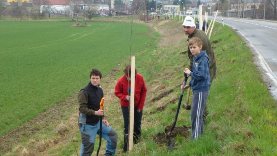 Lidé z celé republiky přispěli na alej mezi Štípou a Velíkovou