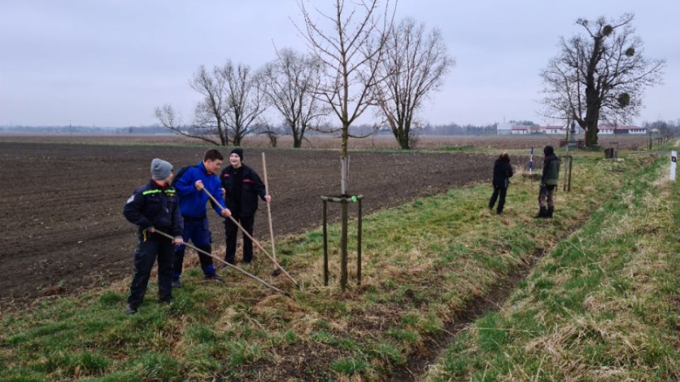 O stromy u Bohumína se starají dobrovolní hasiči.  Za nedostatkem stromů v naší krajině často stojí “pokřivení trhu” jménem DOTACE