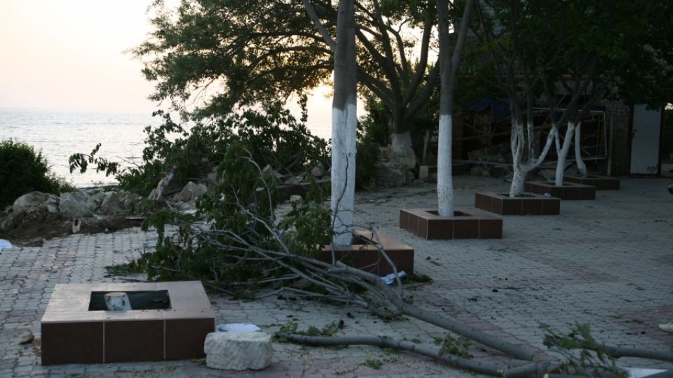 Felling of the trees at Ravil café