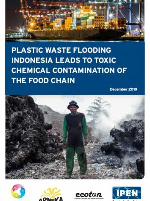 Plastic waste flooding Indonesia leads to toxic chemical contamination of the food chain