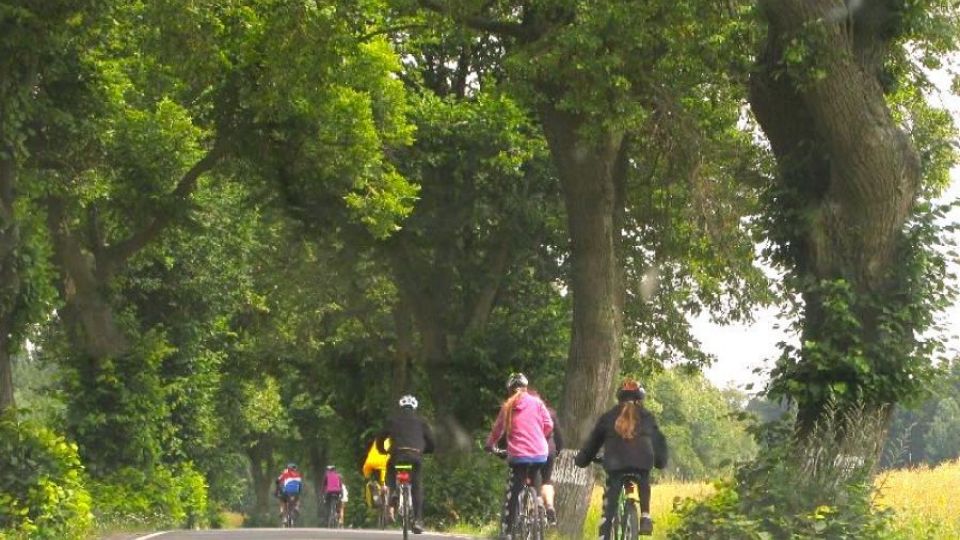 Cyklisté na Vysočině šlápli do pedálů za aleje