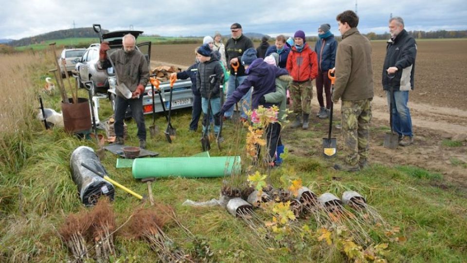 Krajina v Poodří je bohatší o více než 300 mladých stromků