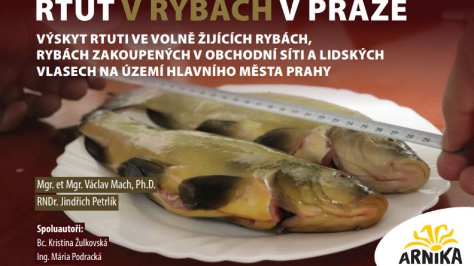 Rtuť v rybách v Praze: Výskyt rtuti ve volně žijících rybách, rybách zakoupených v obchodní síti a lidských vlasech na území hlavního města Prahy