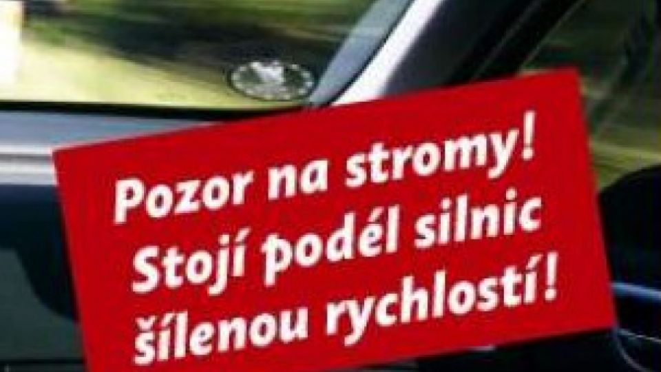 Nezabíjejí stromy, ale nezodpovědní řidiči - komentář Arniky