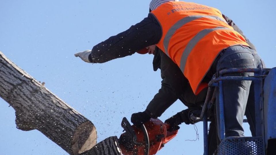 Tragickým následkům dopravních nehod nejlépe zabrání prevence, nikoliv plošné kácení stromů