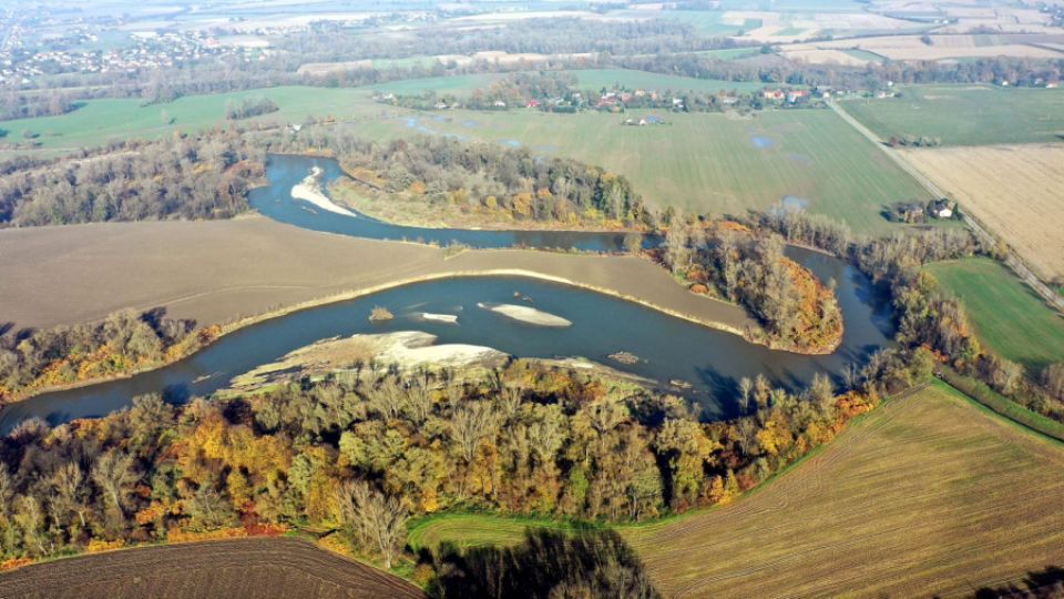 Sláva! Odra je podmínečně na svobodě!