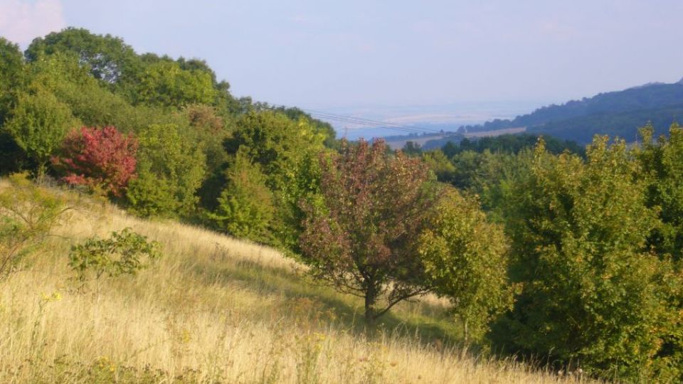 Objevte krásy bílých strání v Českém středohoří