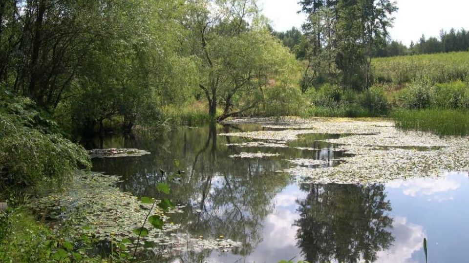 Pístov - former tank training area