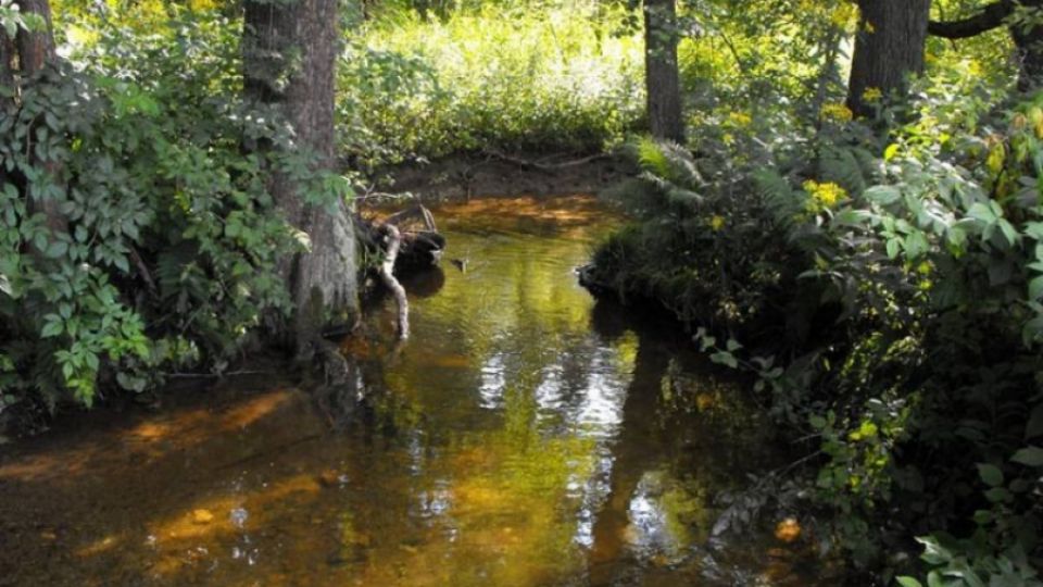 Dobrovolníci uklidí Botič, sraz je v sobotu v jednu Pod Jezerkou