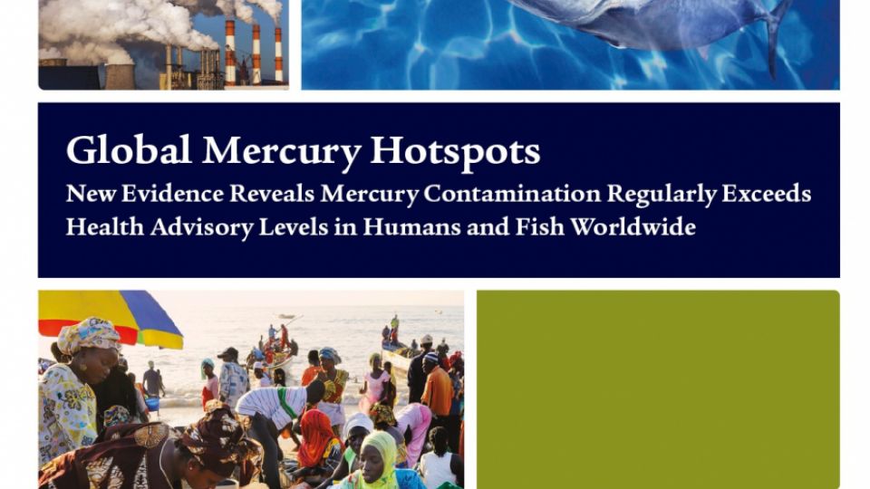 Global mercury hotspots: New evidence reveals mercury contamination regularly exceeds health advisory levels in humans and fish worldwide.