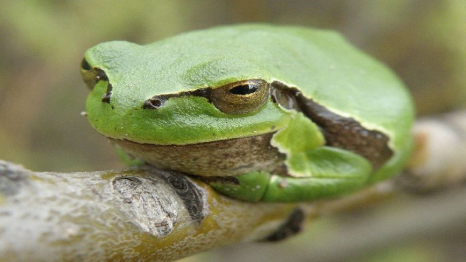 Soutěžní fotografie do soutěže &quot;Fotíme vodu&quot;