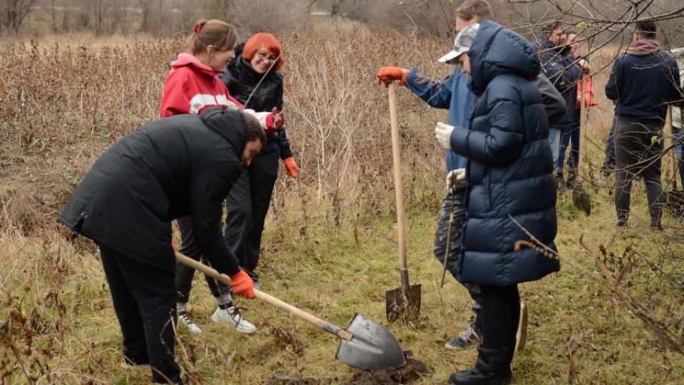 Planting trees helps to save a river