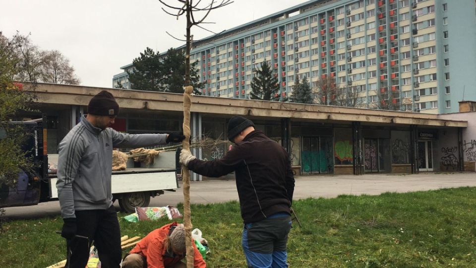 Ohlédnutí za výsadbou se spolkem Krásné Kobylisy