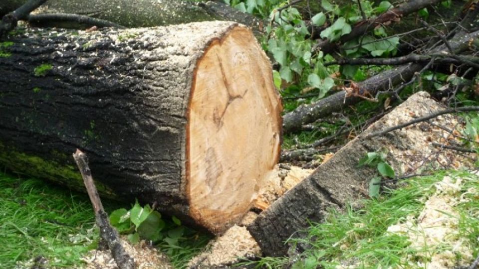 Stát neplatí za ekoporadenské služby, sám ale poradit neumí