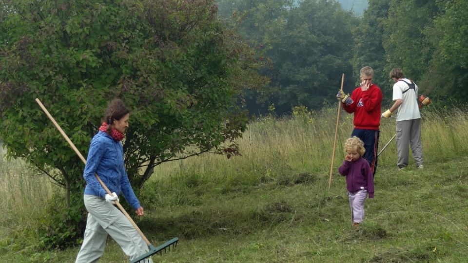 Bořena Team