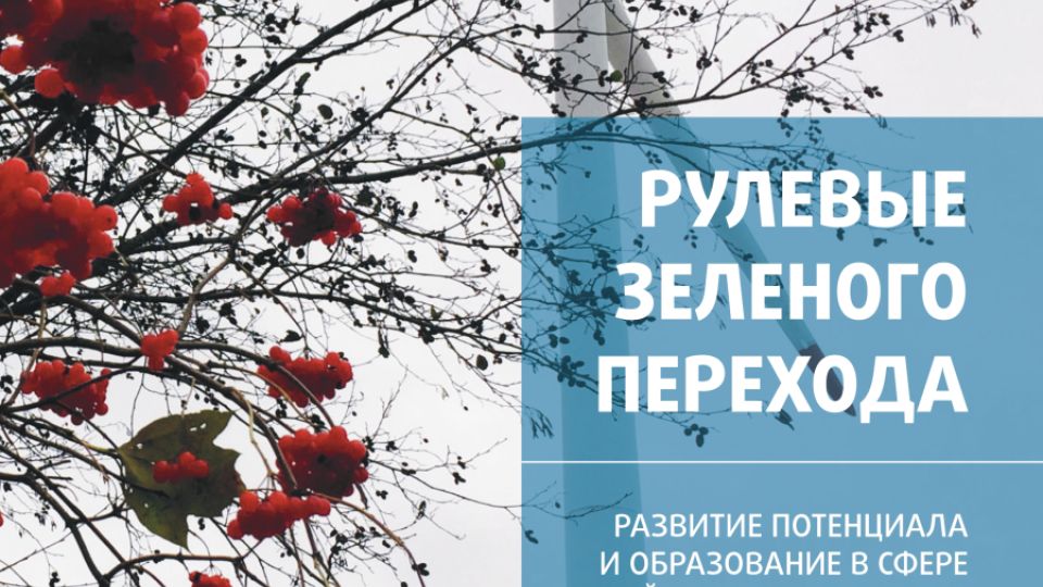 Рулевые зеленого перехода