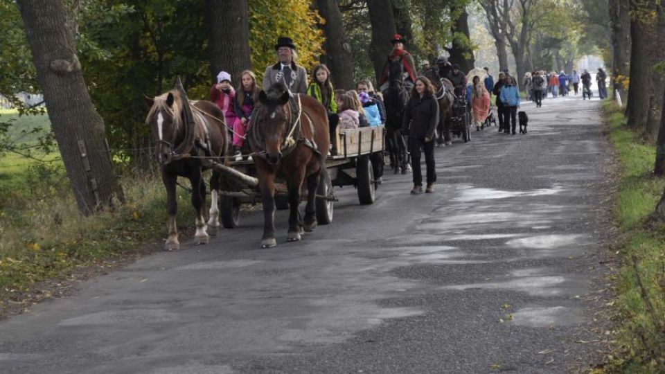 Bronzová Alej roku 2015 padla, ale čtyři další stromořadí žijí dál