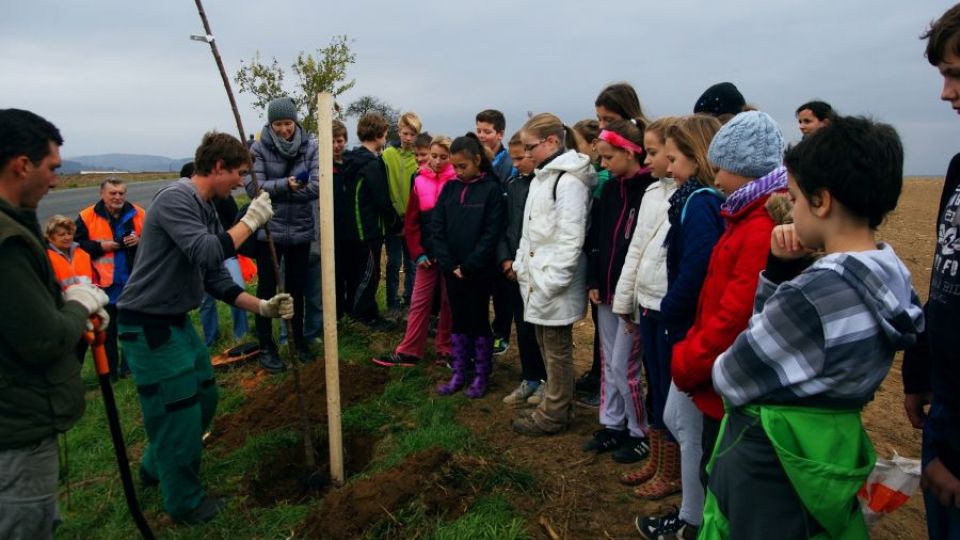 Pojďte s námi zasadit stromy v Praze na Letné