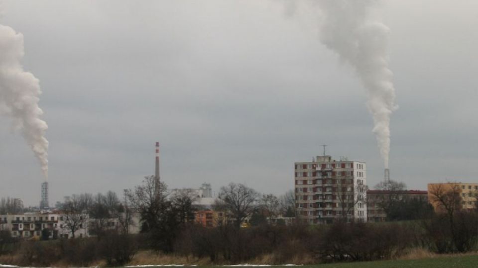 Arnika bude v Ústí nad Orlicí vystavovat, jak papírovat šetrně