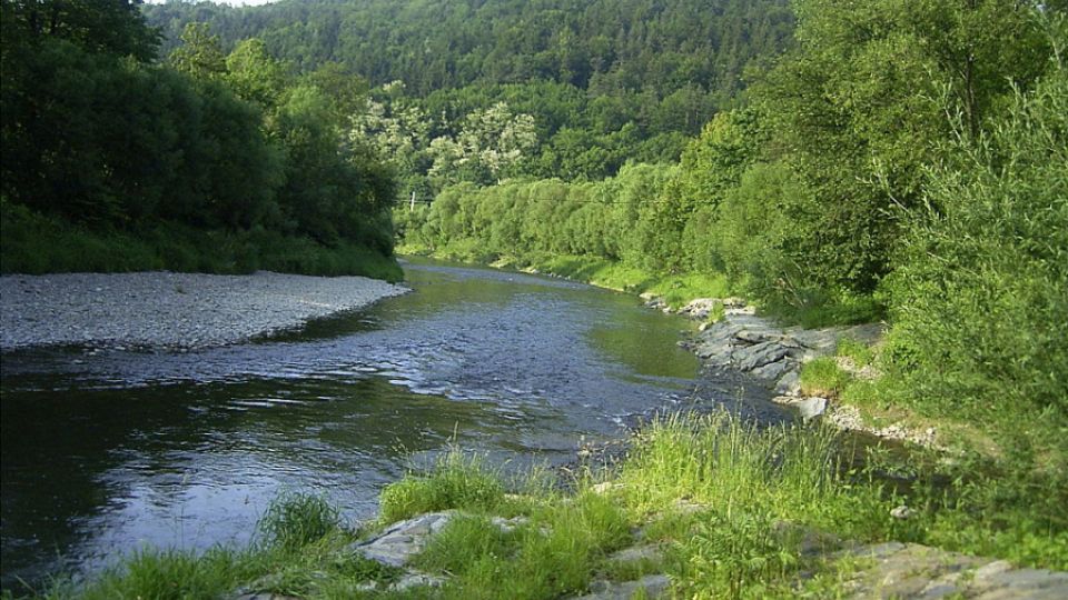 ČIŽP bagatelizuje ekologickou katastrofu na Bečvě. V řízení o uložení nápravných opatření nenavrhuje žádné zásadní kroky