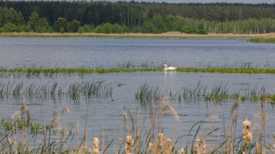 The “Green Vision” of Belarus is born