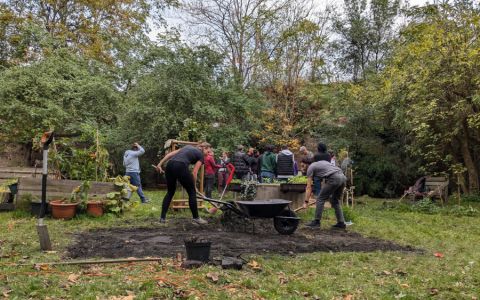 Výsev původní směsi rostlin - komunitní vnitroblok Mečislavka