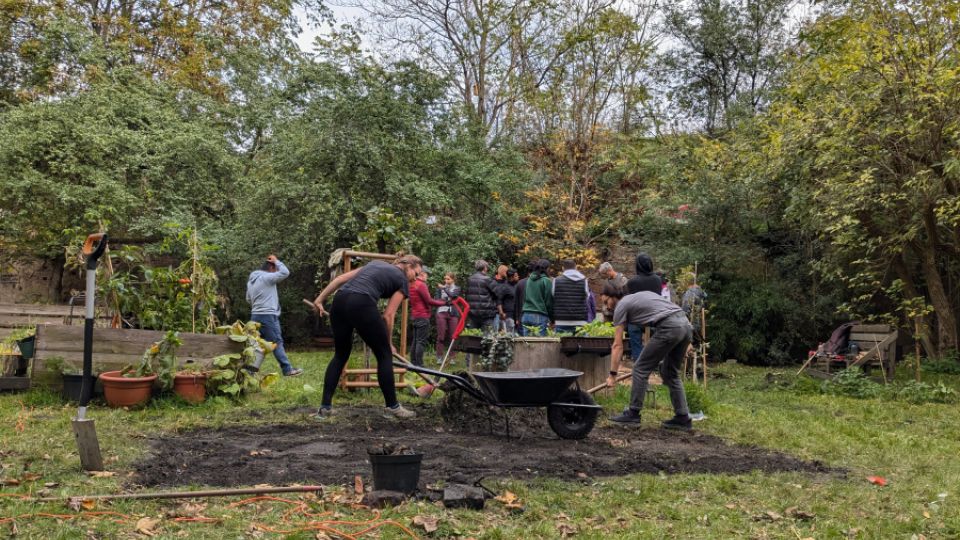 Výsev původní směsi rostlin - komunitní vnitroblok Mečislavka