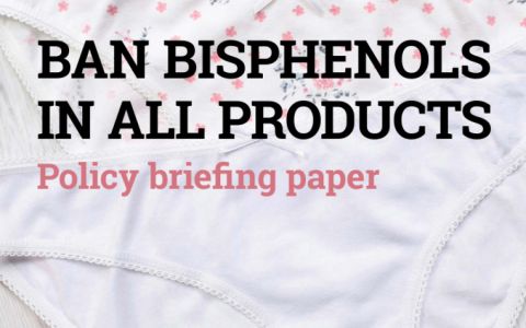 Ban Bisphenols in All Products - Policy Briefing Paper