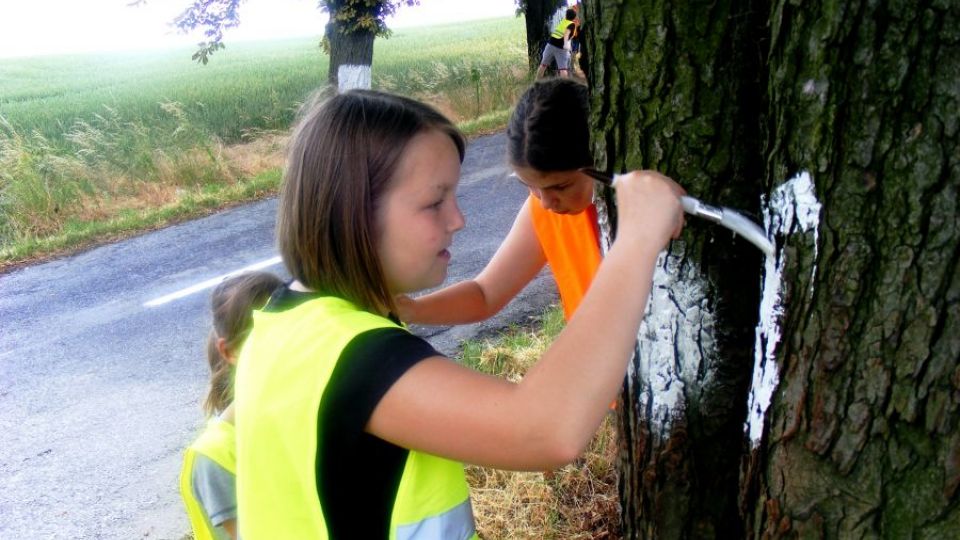 Vážným následkům nehod zabrání omezení rychlosti a vzdělávání řidičů, nikoliv plošné kácení stromů